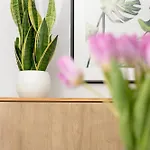 Apartament Marina By Renters Gdynia